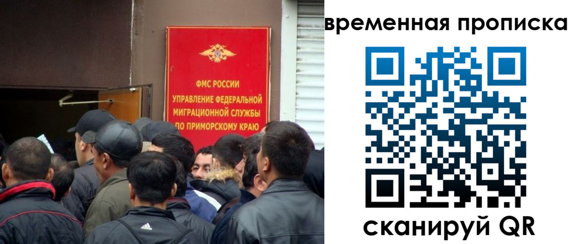 прописка в Фокино